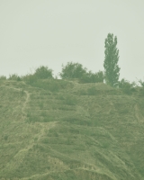 《五绝·助寻》 霜鬓寻亲路，帮人即助己。 踏遍万重山，手香留心底。