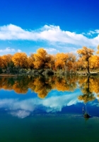 大美喀什风景如画大美喀什风景如画大美喀什风景如画